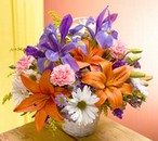 ايحانة الأسبوع 52