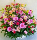 ريحانة الأسبوع 97